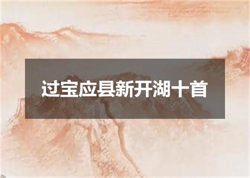 过宝应县新开湖十首