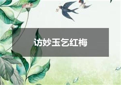 访妙玉乞红梅