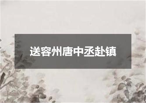 送容州唐中丞赴镇