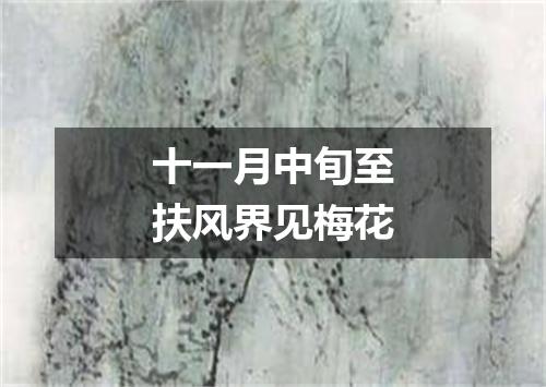 十一月中旬至扶风界见梅花