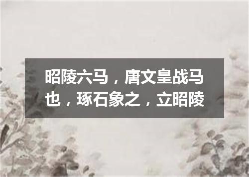 昭陵六马，唐文皇战马也，琢石象之，立昭陵