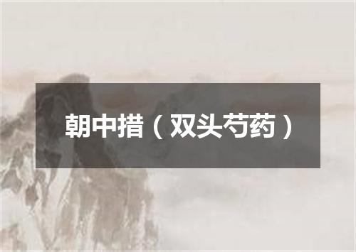 朝中措（双头芍药）