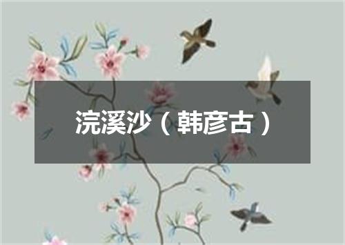 浣溪沙（韩彦古）