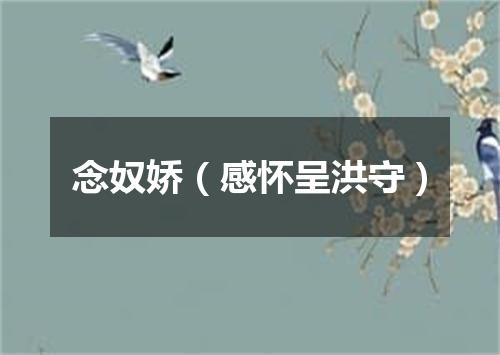 念奴娇（感怀呈洪守）