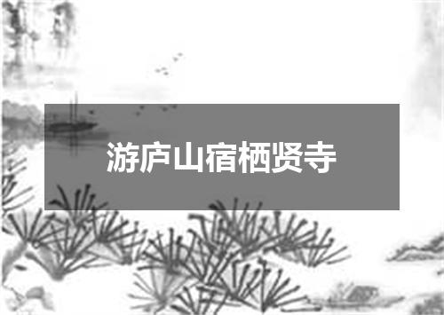 游庐山宿栖贤寺