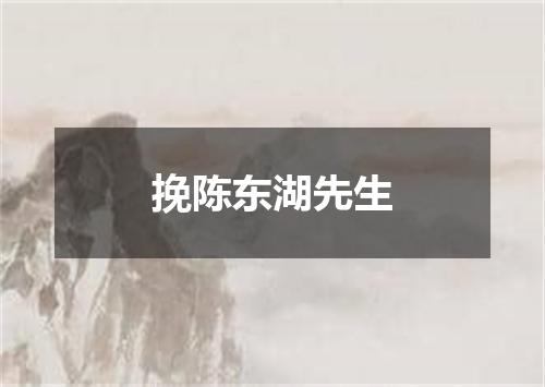 挽陈东湖先生
