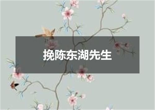 挽陈东湖先生