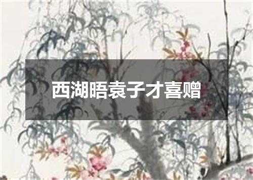 西湖晤袁子才喜赠