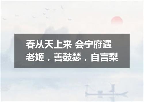 春从天上来 会宁府遇老姬，善鼓瑟，自言梨