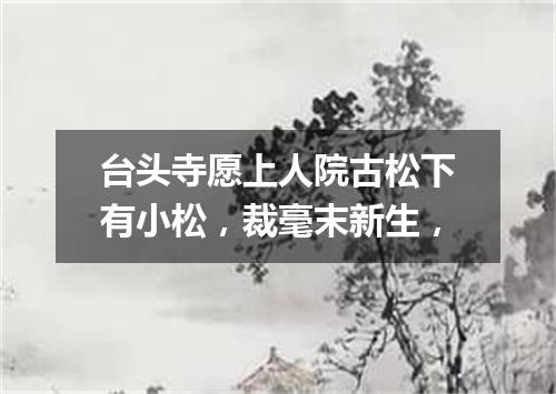 台头寺愿上人院古松下有小松，裁毫末新生，