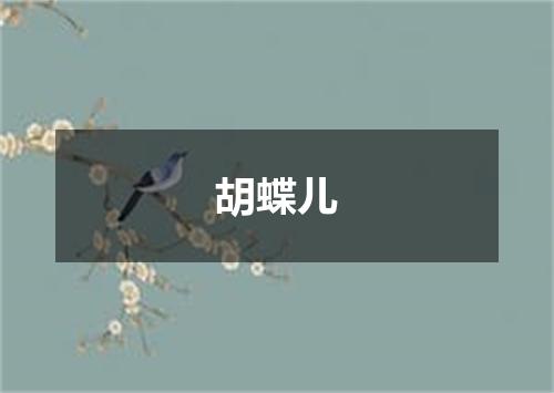 胡蝶儿