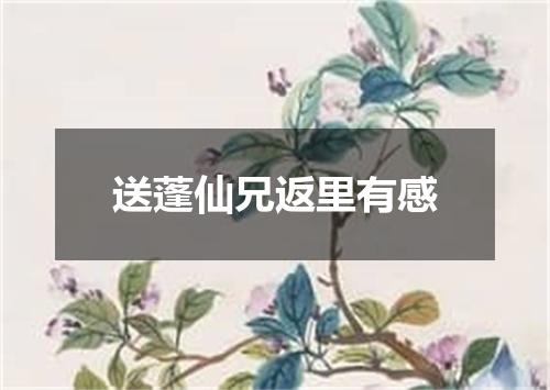 送蓬仙兄返里有感