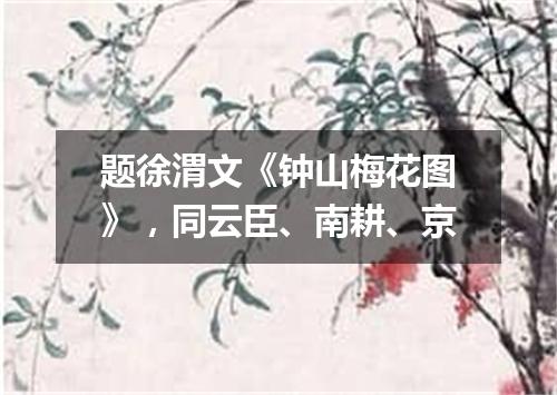 题徐渭文《钟山梅花图》，同云臣、南耕、京
