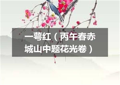 一萼红（丙午春赤城山中题花光卷）