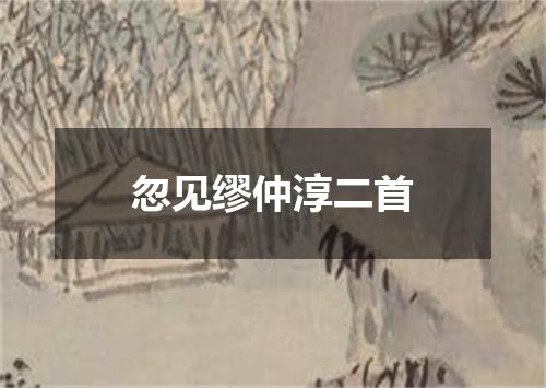 忽见缪仲淳二首