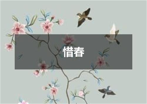 惜春