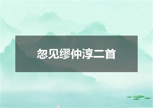 忽见缪仲淳二首