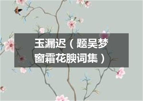 玉漏迟（题吴梦窗霜花腴词集）