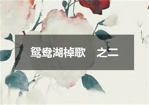 鸳鸯湖棹歌　之二