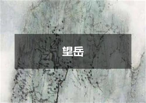 望岳