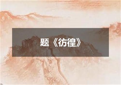 题《彷徨》