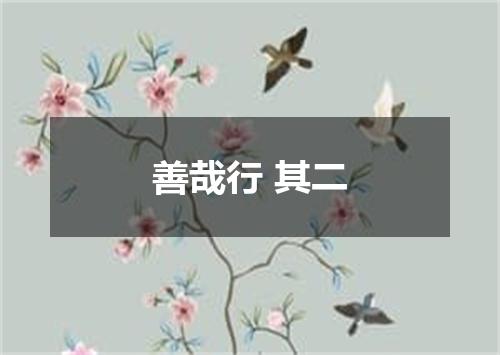 善哉行 其二