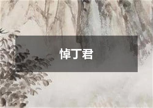 悼丁君