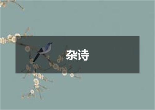 杂诗