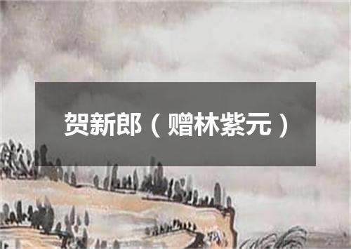 贺新郎（赠林紫元）