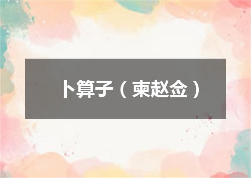 卜算子（柬赵佥）