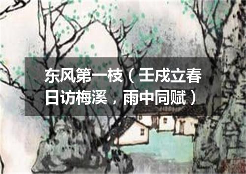 东风第一枝(壬戍立春日访梅溪,雨中同赋)