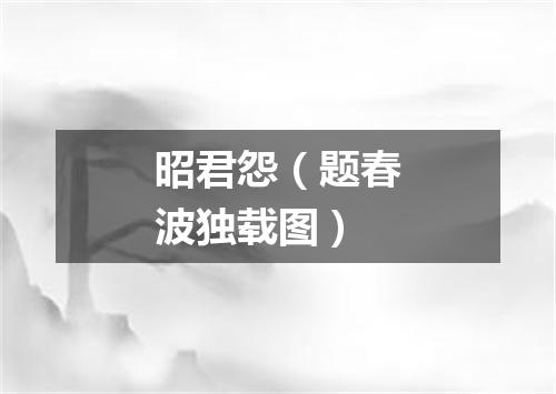 昭君怨（题春波独载图）