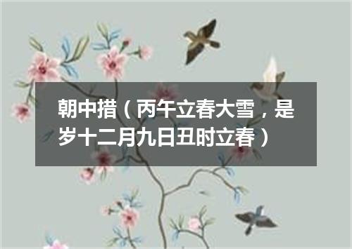 朝中措（丙午立春大雪，是岁十二月九日丑时立春）