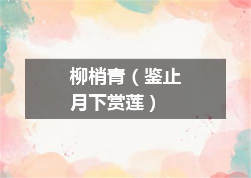 柳梢青（鉴止月下赏莲）