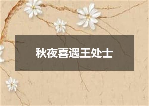 秋夜喜遇王处士