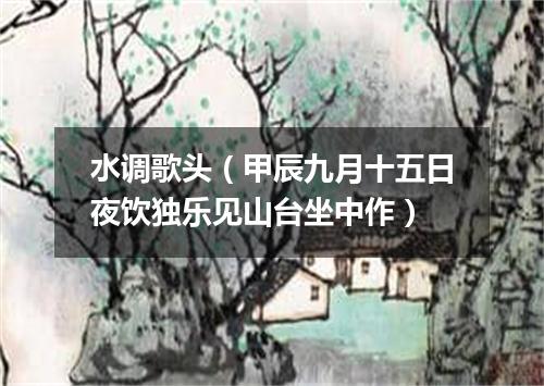 水调歌头（甲辰九月十五日夜饮独乐见山台坐中作）