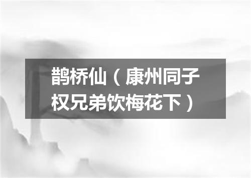 鹊桥仙（康州同子权兄弟饮梅花下）