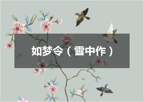 如梦令(雪中作)