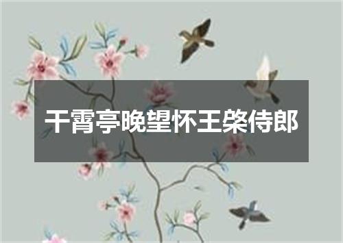 干霄亭晚望怀王棨侍郎