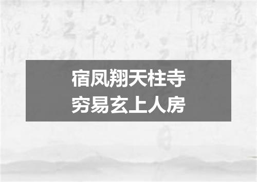 宿凤翔天柱寺穷易玄上人房