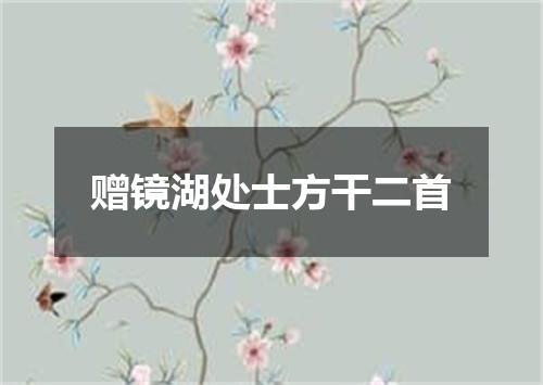 赠镜湖处士方干二首