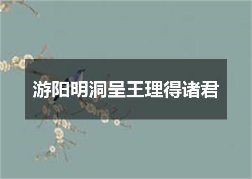 游阳明洞呈王理得诸君