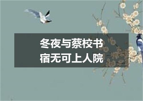 冬夜与蔡校书宿无可上人院