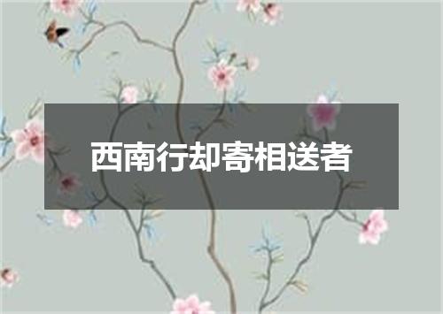 西南行却寄相送者