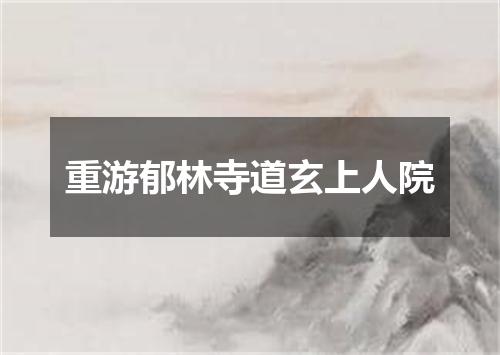 重游郁林寺道玄上人院