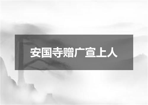 安国寺赠广宣上人