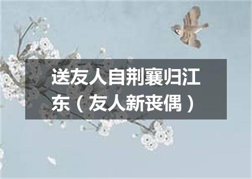 送友人自荆襄归江东（友人新丧偶）