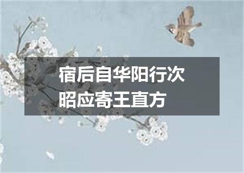 宿后自华阳行次昭应寄王直方