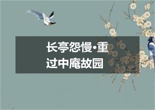 长亭怨慢·重过中庵故园