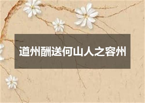 道州酬送何山人之容州